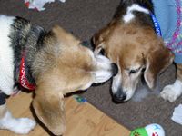 Christmas_2007\Sammi gives Mindi a Christmas Kiss